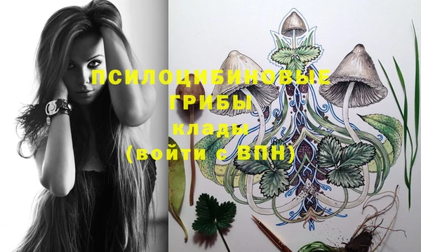 apvp Богданович
