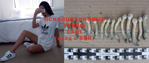 молекула духа Белокуриха