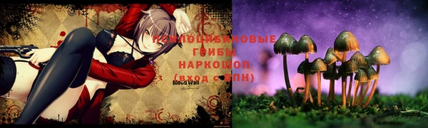 молекула духа Надым