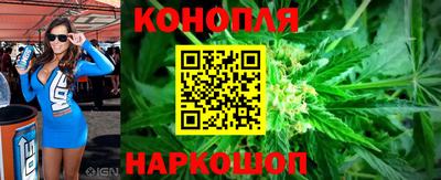 гашик Балахна