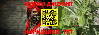 СК Будённовск