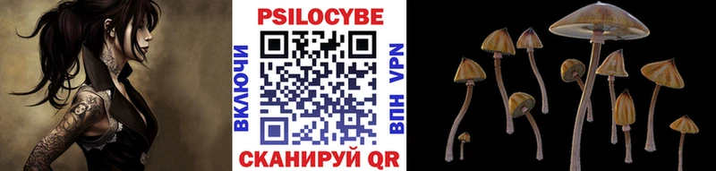 ссылка на мегу ссылки  Выкса  Псилоцибиновые грибы Psilocybine cubensis 