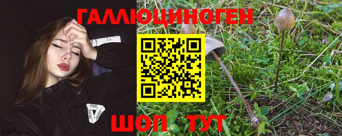 Галлюциногенные грибы прущие грибы Выкса