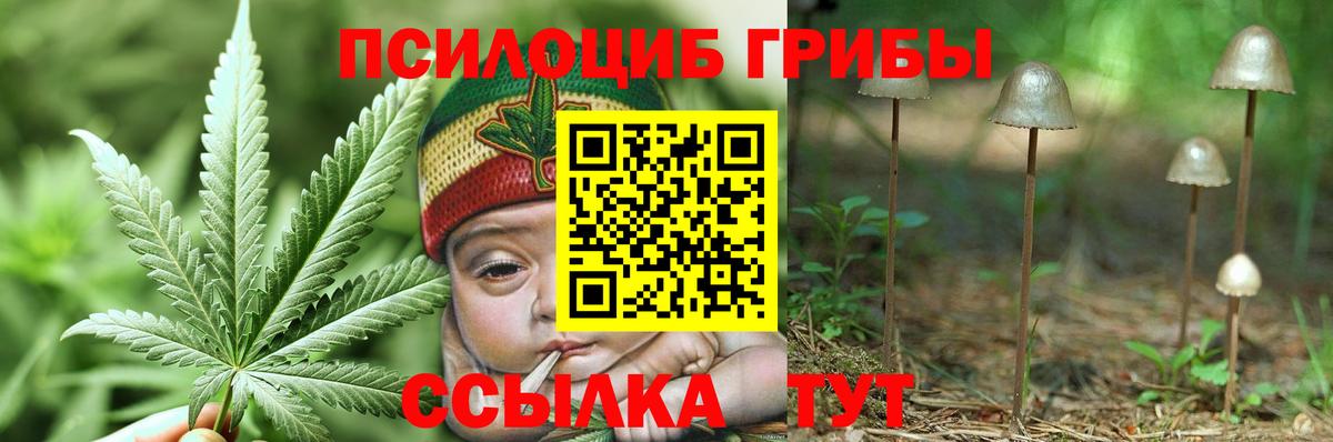 Псилоцибиновые грибы Psilocybe  Вход с VPN  Выкса  Галлюциногенные грибы ЛСД 